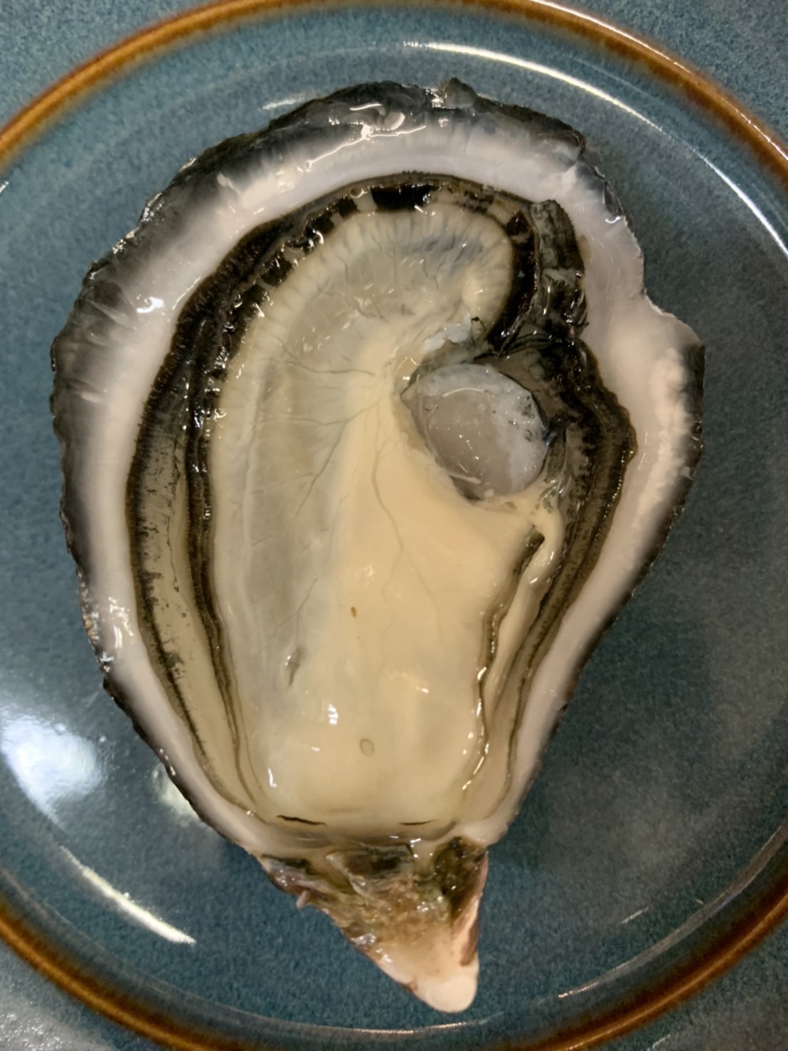 日本全国から選び抜いた牡蠣 - shuckers